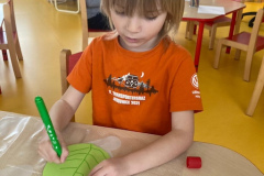 IMG-20260327-WA0022