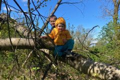 IMG-20250425-WA0031