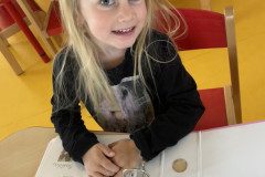 IMG_8946
