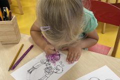 IMG_9256