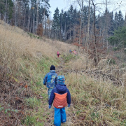 Veverky - Na kolech, v oblacích i na bílém koni...