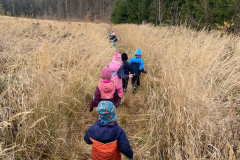 IMG-20251121-WA0000