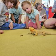 Veverky - Návštěva zvířátek - želva a agama