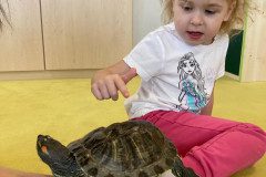 IMG-20240530-WA0008
