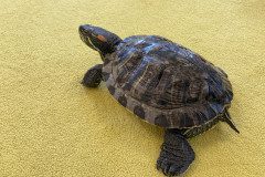 IMG-20240530-WA0012