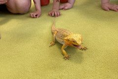 IMG-20240530-WA0014