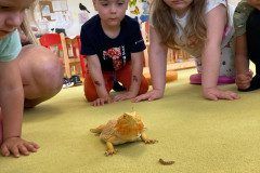 IMG-20240530-WA0015