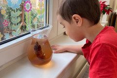 IMG-20250328-WA0016