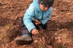 IMG-20250328-WA0027
