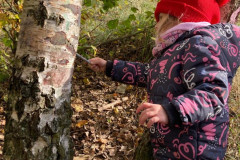 IMG-20251024-WA0041