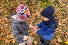 IMG-20251107-WA0044