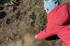 IMG_6891