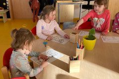 IMG-20250226-WA0034