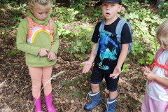 IMG_20250908_102732