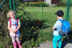 IMG_20250908_110118