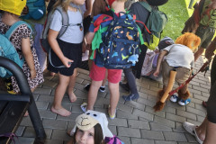 IMG_20260624_151859