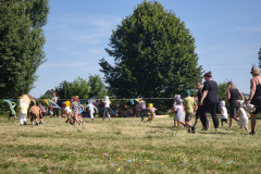 IMG_20260624_160252