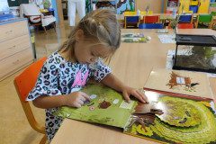 IMG_20231002_073227