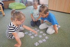 DSCN1833