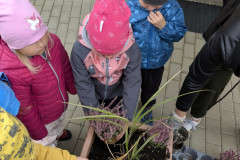 PXL_20250922_075157066