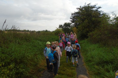 DSC03356