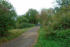 DSC03364