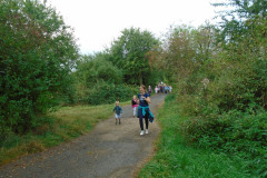 DSC03367