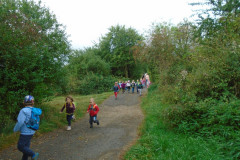 DSC03370