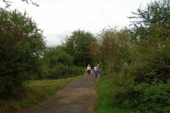 DSC03378