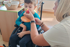 IMG-20261001-WA0024
