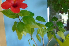 DSC06203