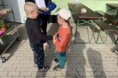IMG-1982