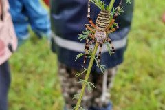 IMG_20220927_110708