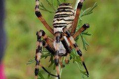 IMG_20220927_111048