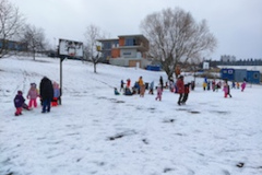 1_IMG_20260202_102921