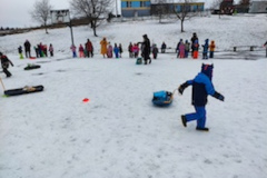 1_IMG_20260203_102233