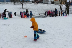 1_IMG_20260203_102247