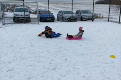 1_IMG_20260203_103239