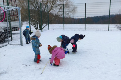 IMG_20260204_102448