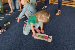IMG_20240125_093847
