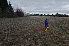 IMG_20250129_104708