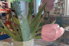 IMG-3934